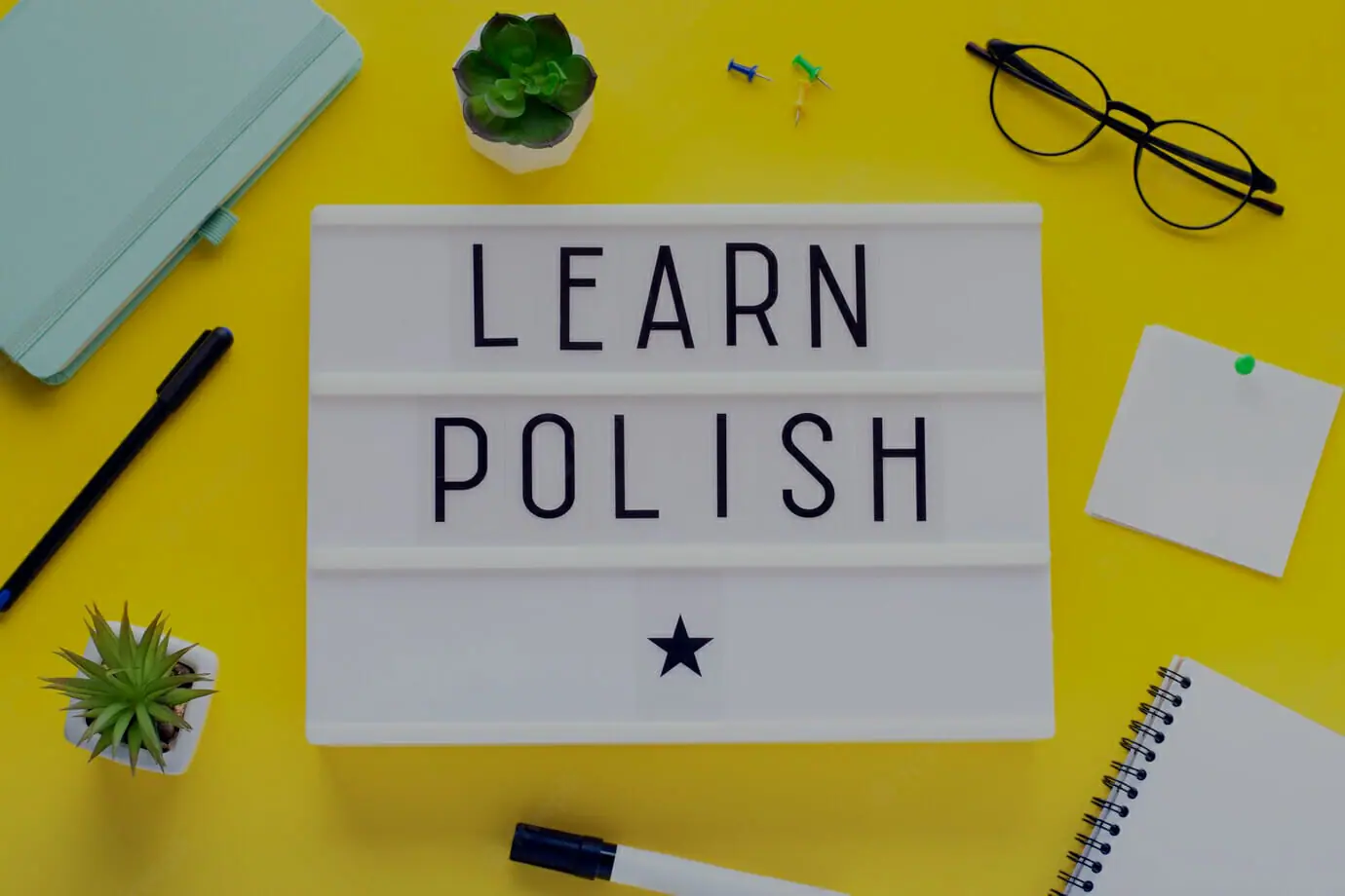 learnpolish.jpg.webp